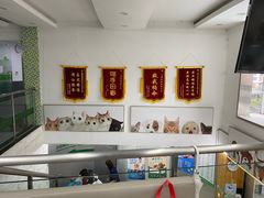 -爱侣宠医·鹦鹉专科·小型哺乳类·异宠专科(灵石路店)