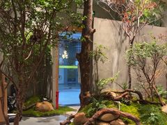 -森SPA·泰式按摩·精油Massage(宝安中心店)