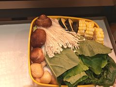 -润园四季椰子鸡火锅(卓越INTOWN店)
