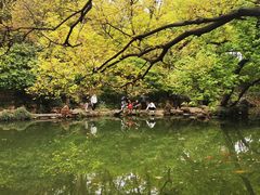 -惠山古镇·寄畅园