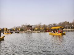 -大槐树寻根祭祖园