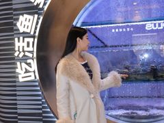 -鱼酷活鱼烤鱼(环球港月光漫游店)