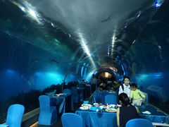-海棠湾洲际-涛·海底餐厅·美人鱼·自助餐·海底隧道