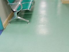 -北京观赏动物医院·24小时大型综合·猫专科·异宠专科