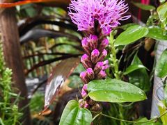 -华南国家植物园-售票处