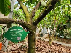 -歌斐颂巧克力小镇