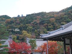 -天龙寺