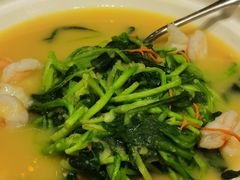 豆汤豌豆尖-月福京味斋·烤鸭店·北京菜(鼓楼总店)