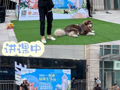 -中粮·祥云小镇