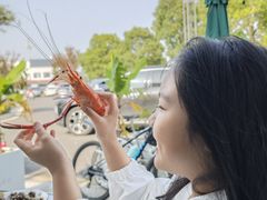 阳澄湖一号大虾-品鲜村农家菜·阳澄湖大闸蟹(总店)