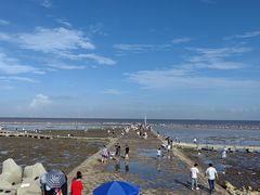 -南汇嘴观海公园