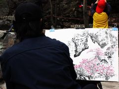 -野三坡百草畔景区