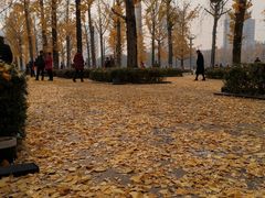 -百林公园-两江幸福广场