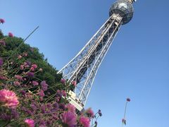 -文华公园(禅城区)