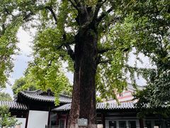 -常熟方塔园