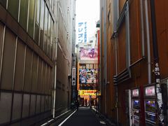 -秋叶原电器街