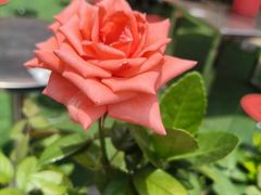 -锦荣悦汇城