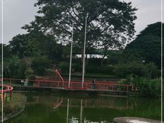 -纪念孙中山市政公园