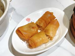 -莱莱小笼·乔艾