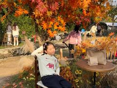 -HERRE·FARM 赫尔露营农场·团建聚会包场