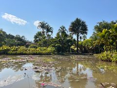 -中国科学院西双版纳热带植物园