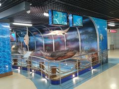 -山东省科技馆(新馆)