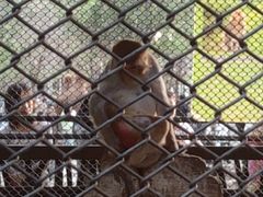 -长白岛森林公园