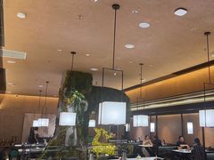 -阿露佳·舌尖上的安吉菜