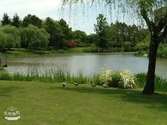 -中国浦东干部学院