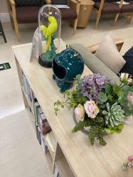 -北京亚运村美中宜和妇儿医院