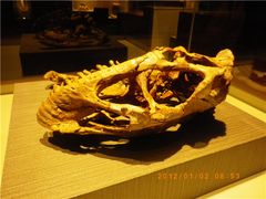 -世界恐龙谷景区