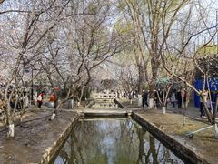 -春风习习