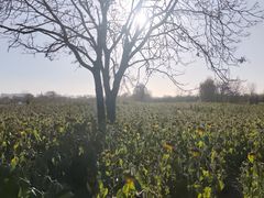 -汉长安城未央宫国家考古遗址公园