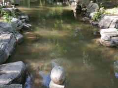 -百脉泉景区