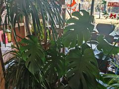 -园丁顿西餐厅(亦庄创新大厦高新视听产业园店)