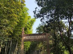-黄公望隐居地