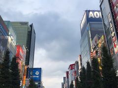-秋叶原电器街