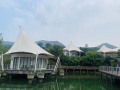 -帐篷客·溪龙茶谷度假酒店