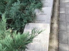 -北京麋鹿生态实验中心