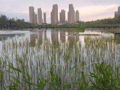 -前关湿地公园