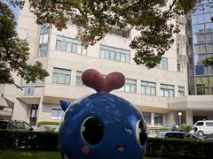 -上海交通大学医学院附属瑞金医院(总院)