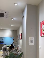 -洗脸猫·洗脸吧