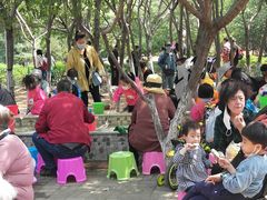 -长白岛森林公园