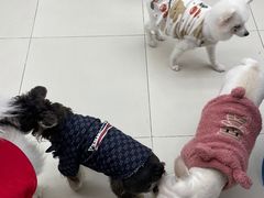 -怪兽屋·羊驼·猫咖·狗咖(俊华广场店)