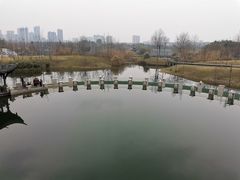 -眉山湿地公园(东坡区)