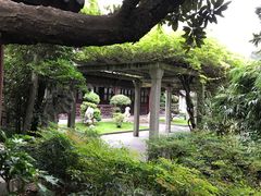 -复旦大学附属华山医院(总院)