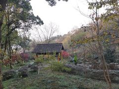 -中国茶叶博物馆(双峰馆区)
