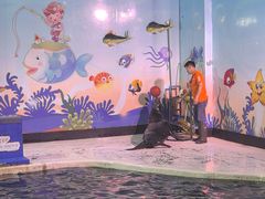 -太平洋海底世界