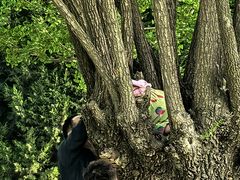 -汉长安城未央宫国家考古遗址公园