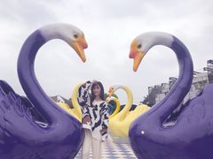 -百万葵园